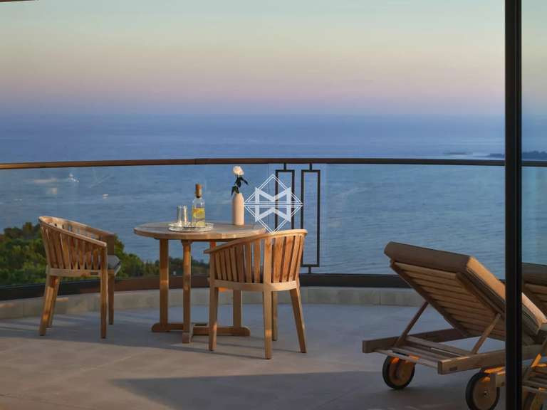 Villa avec Vue sur mer Cannes - 12 chambres - 3000m²