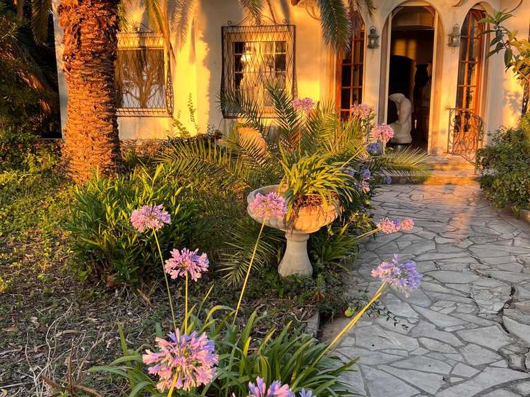 Maison Cap-d-antibes - 3 chambres - 143m²