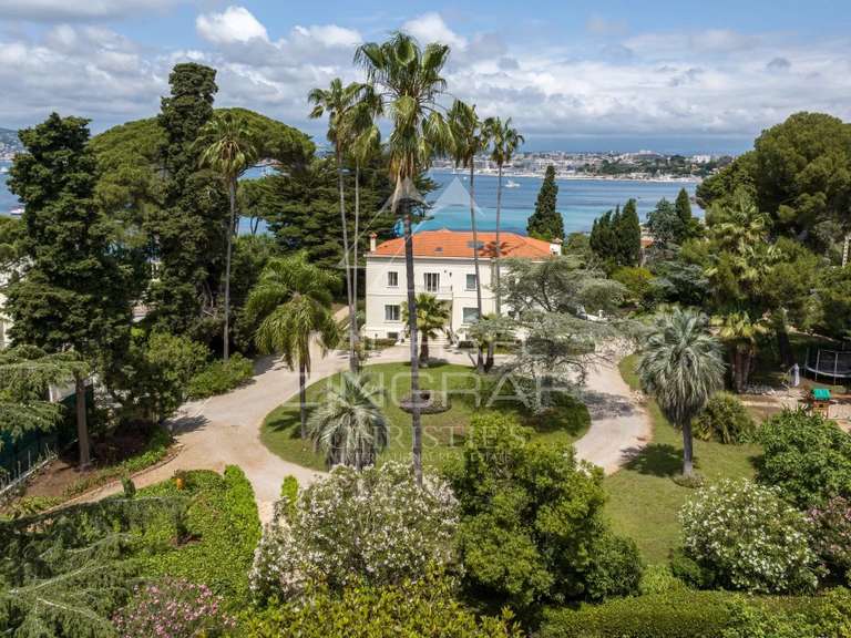 Villa Cap-d-antibes - 10 chambres - 512m²