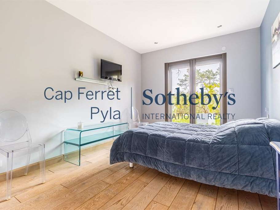 House cap-ferret