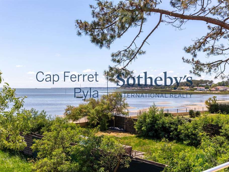 House cap-ferret