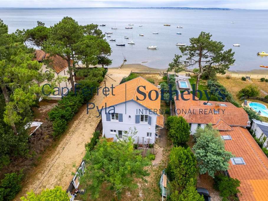 House cap-ferret