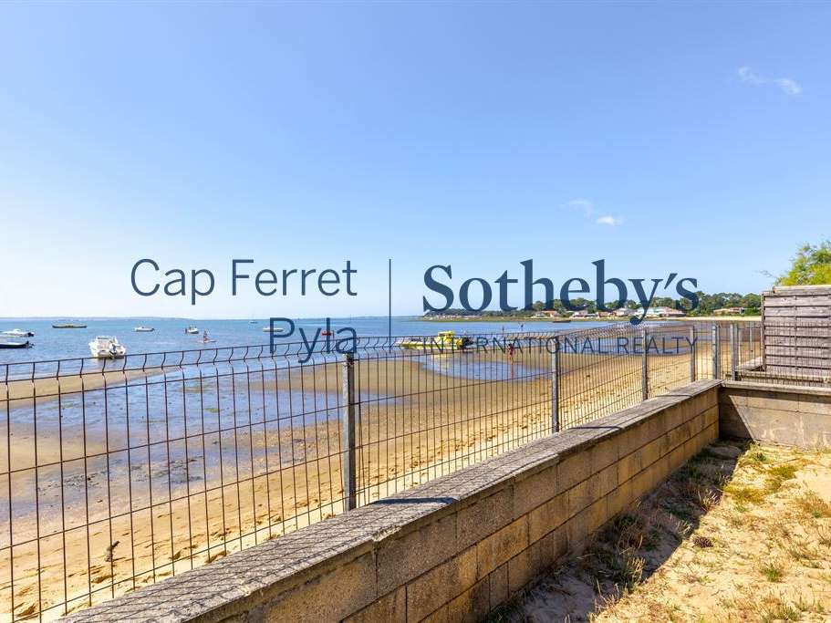 House cap-ferret