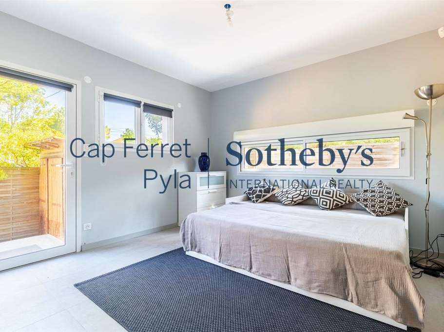 House cap-ferret