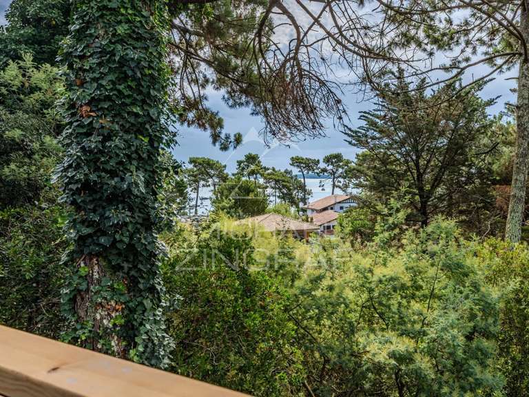 House with Sea view cap-ferret - 6 bedrooms - 300m²