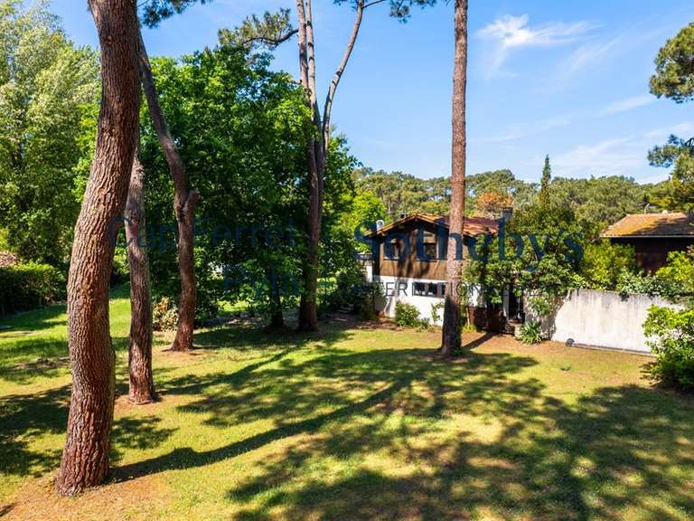 Maison Cap-ferret - 3 chambres - 82m²