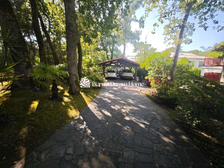 Maison Capbreton - 4 chambres - 170m²