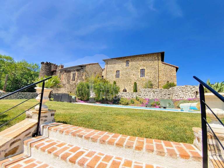 Château Capdenac - 7 chambres - 450m²