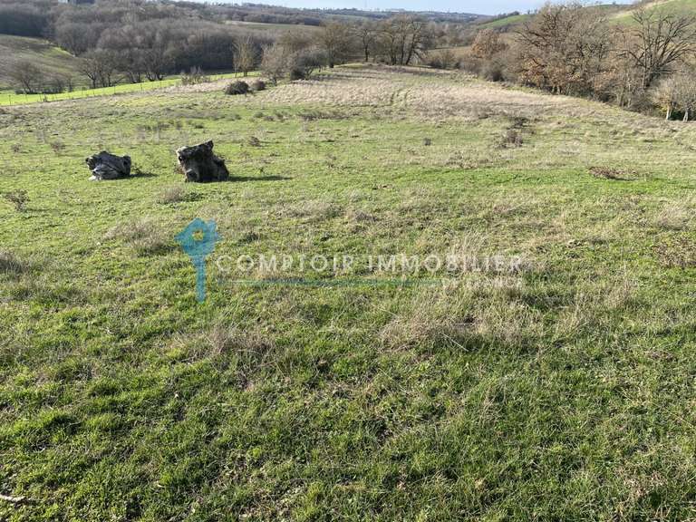 Maison Caraman - 12 chambres - 517m²