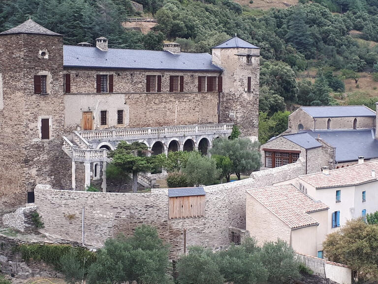 Vente Château Carcassonne - 9 chambres