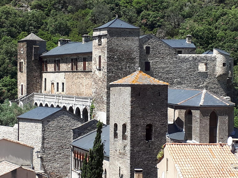 Vente Château Carcassonne - 9 chambres