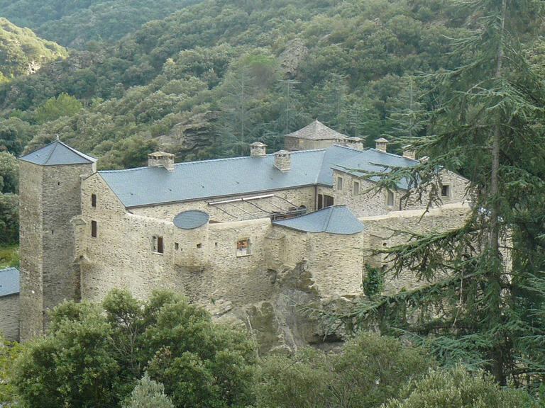 Vente Château Carcassonne - 9 chambres