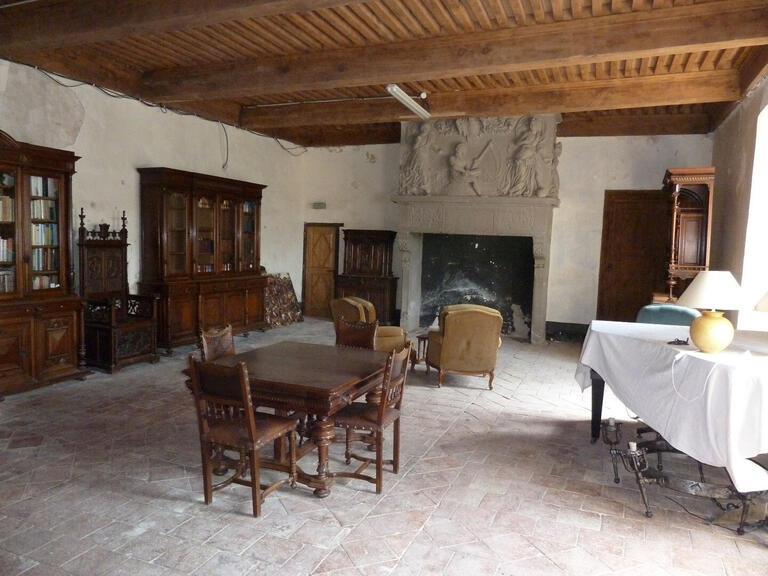 Vente Château Carcassonne - 9 chambres