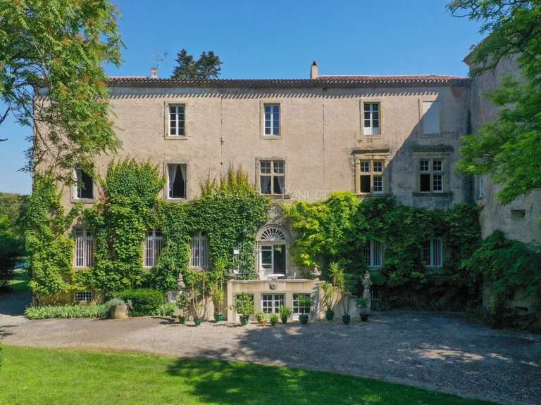 Château Carcassonne - 16 chambres - 900m²