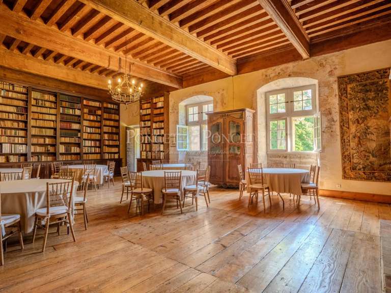 Château Carcassonne - 16 chambres - 900m²
