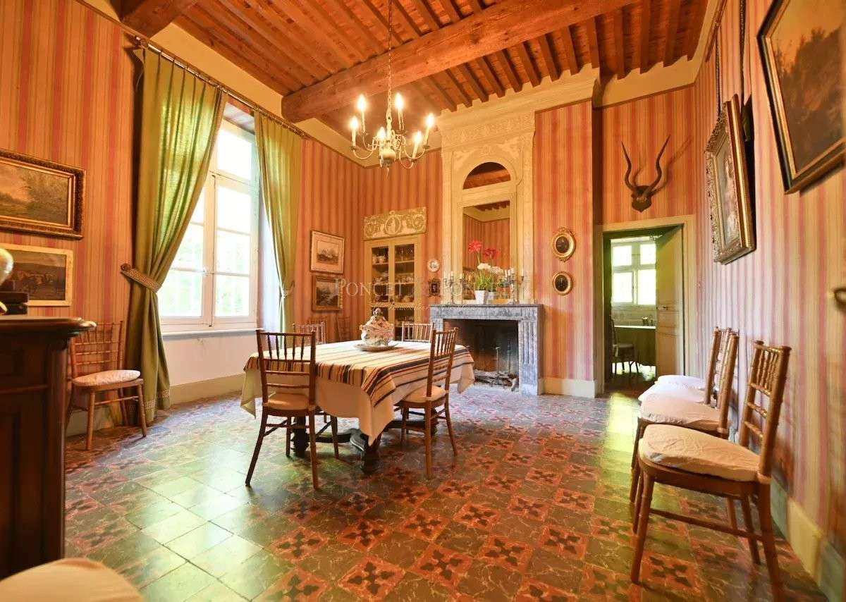Château Carcassonne