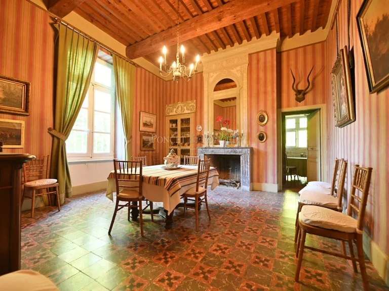 Château Carcassonne - 16 chambres - 900m²