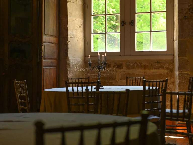 Château Carcassonne - 16 chambres - 900m²