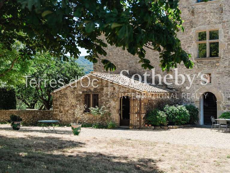 Château Carcassonne - 19 chambres - 1200m²