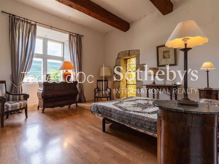 Château Carcassonne - 19 chambres - 1200m²