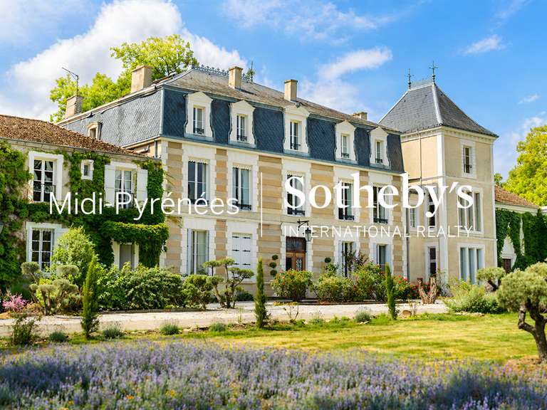 Castle Carcassonne - 31 bedrooms - 1700m²