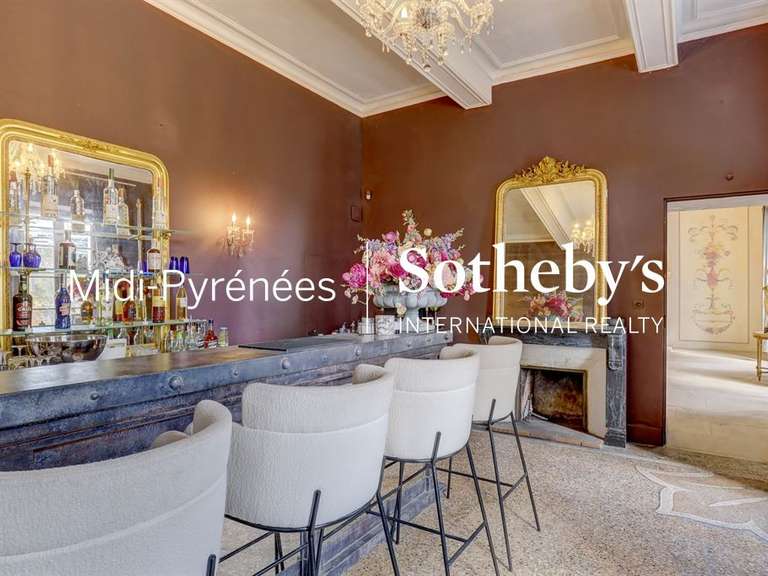 Château Carcassonne - 33 chambres - 1700m²