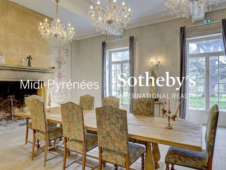 Castle Carcassonne - 31 bedrooms - 1700m²