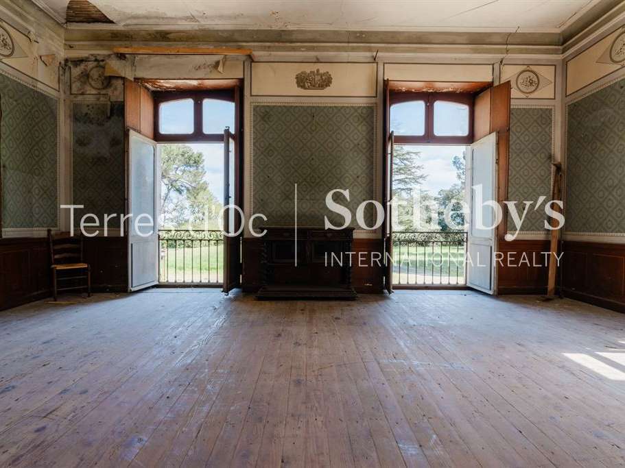 Vineyard Carcassonne