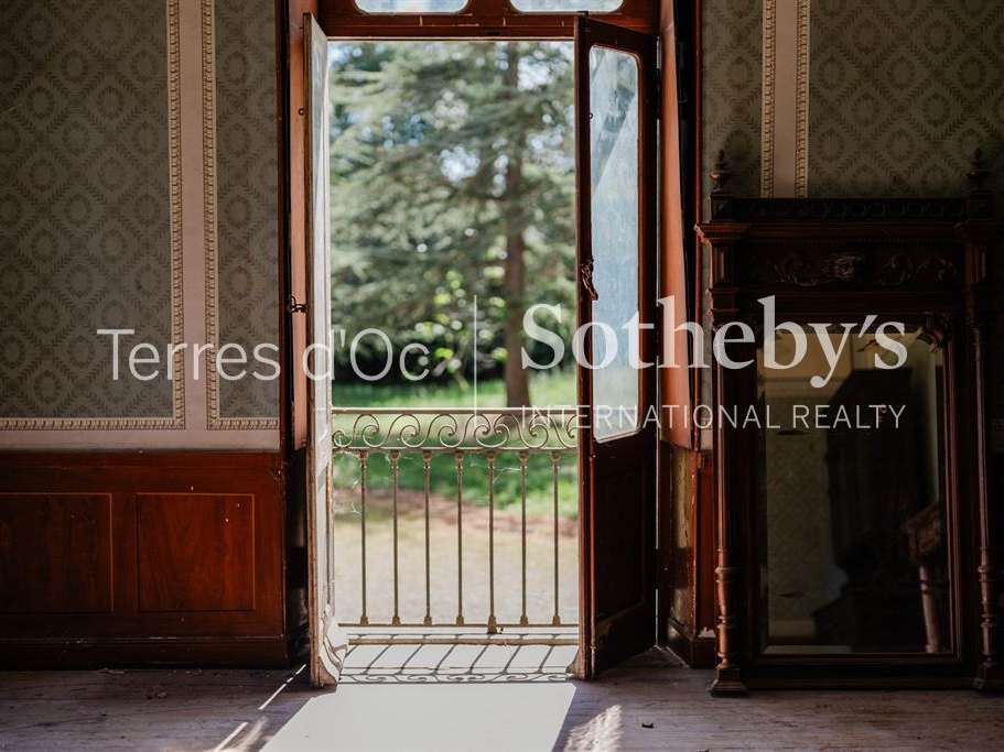 Vineyard Carcassonne