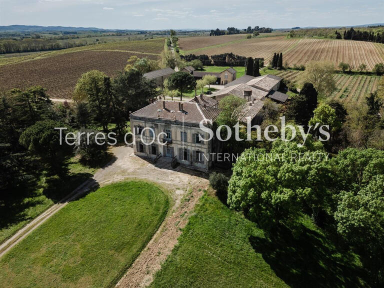 Vente Domaine viticole Carcassonne