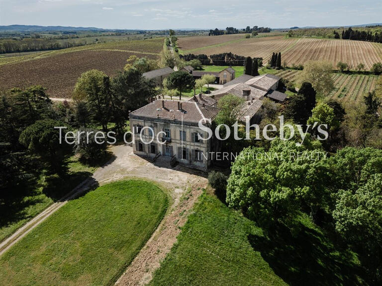 Sale Vineyard Carcassonne