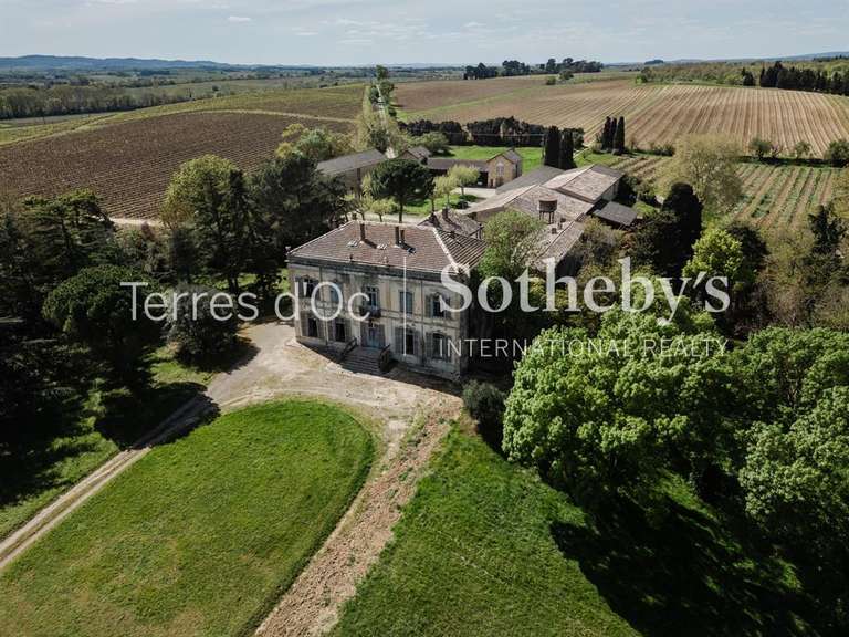 Vineyard Carcassonne - 2000m²
