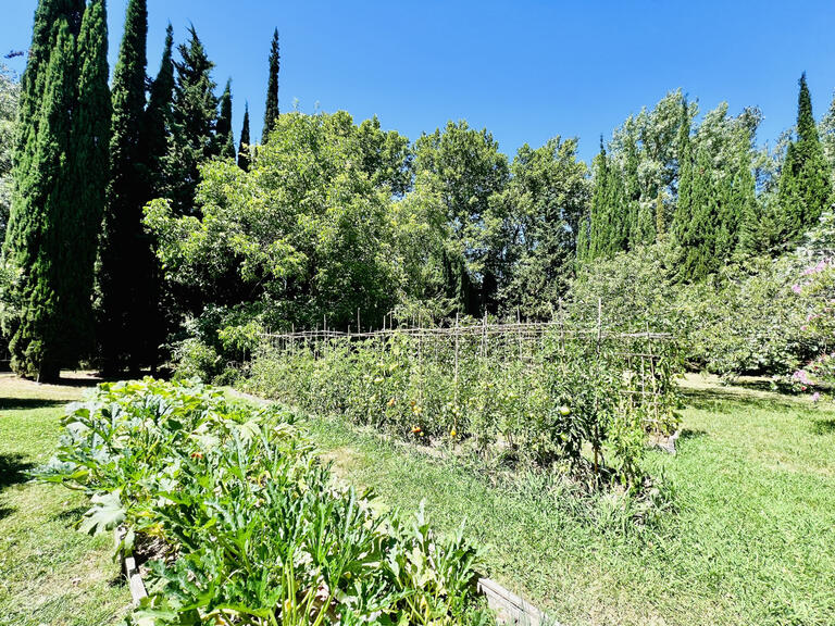Maison Carcassonne - 8 chambres - 390m²