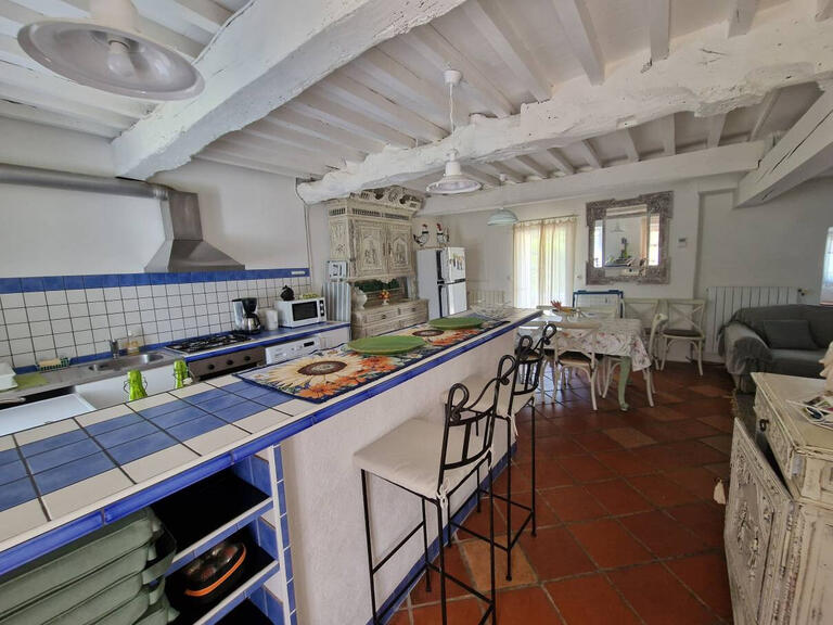 House Carcassonne - 15 bedrooms - 575m²