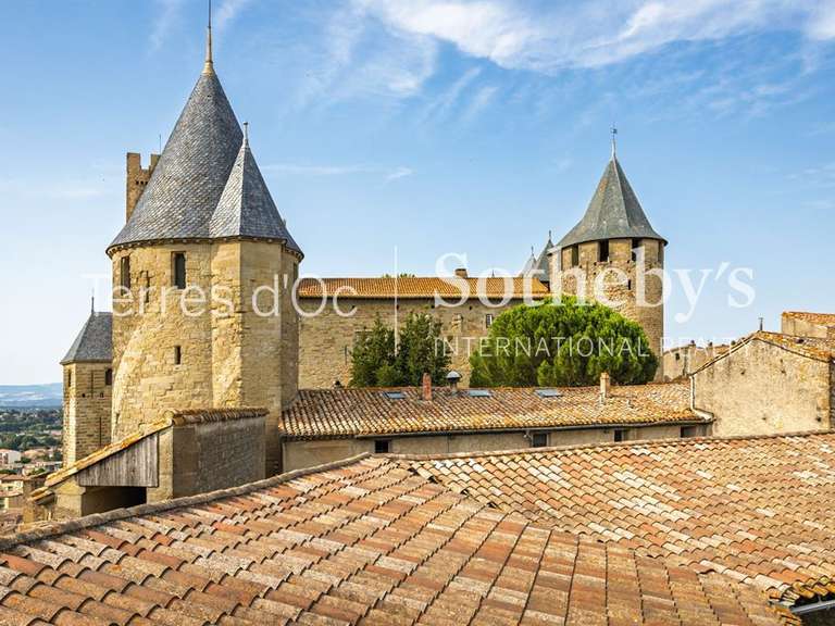 Maison Carcassonne - 335m²