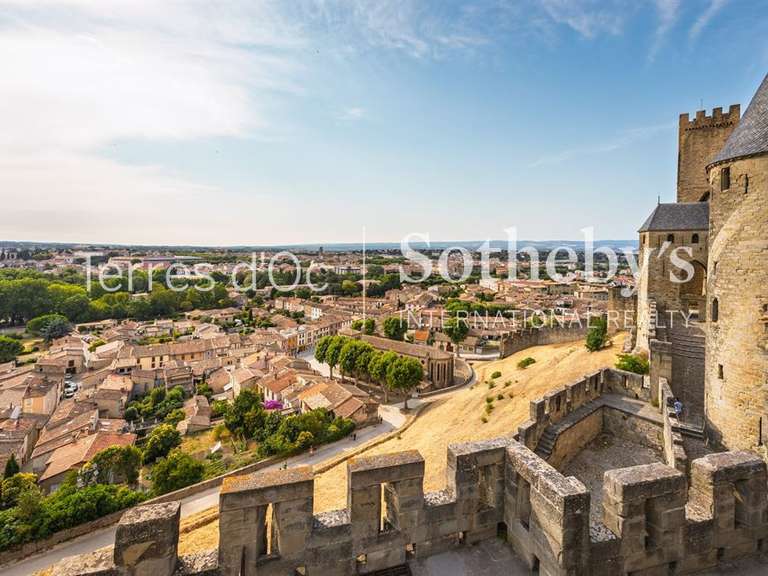 Maison Carcassonne - 335m²