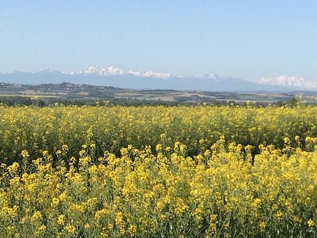 Maison Carcassonne - 9 chambres - 409m²