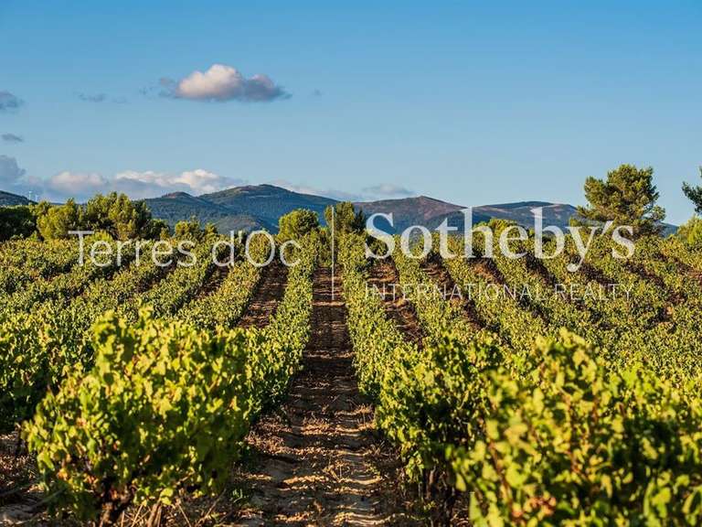 Maison Carcassonne - 17 chambres - 3000m²