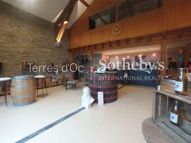 Maison Carcassonne - 17 chambres - 3000m²