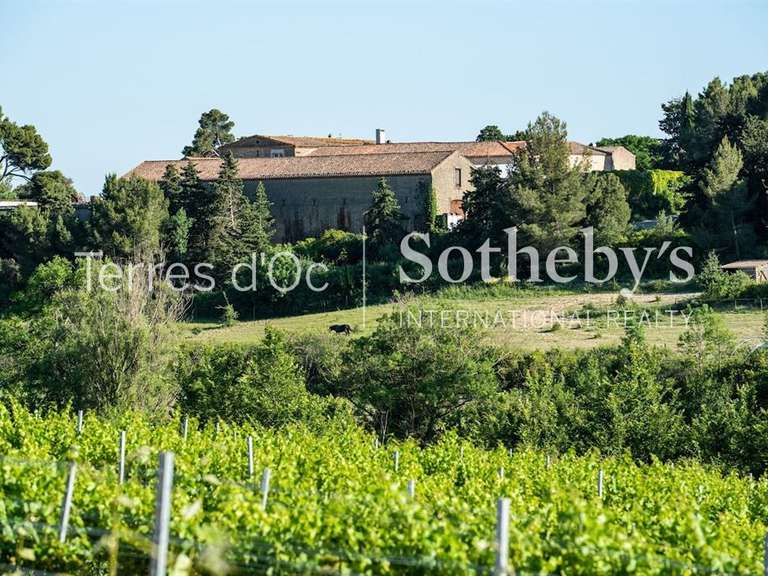 Maison Carcassonne - 17 chambres - 3000m²
