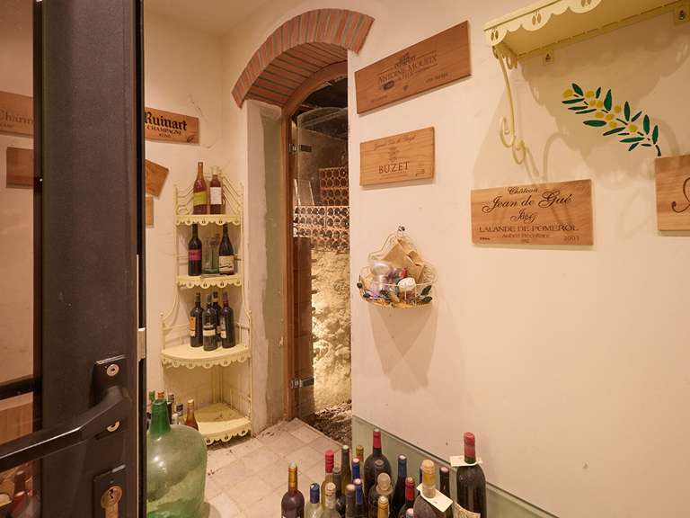 Maison Carcassonne - 4 chambres - 320m²