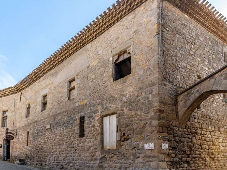 Maison Carcassonne - 5 chambres - 335m²