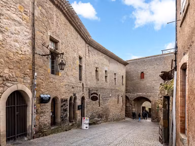 Maison Carcassonne - 5 chambres - 335m²