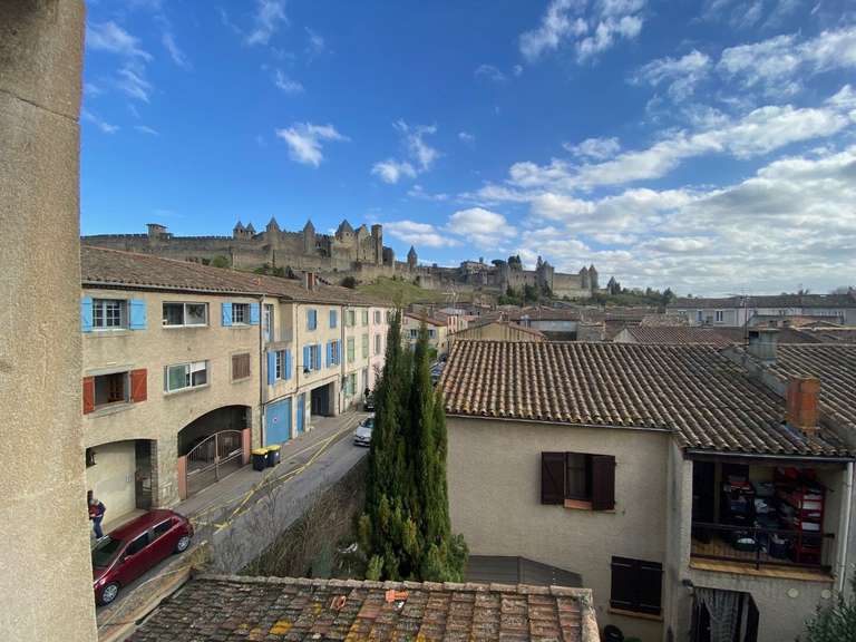 Maison Carcassonne - 10 chambres - 445m²