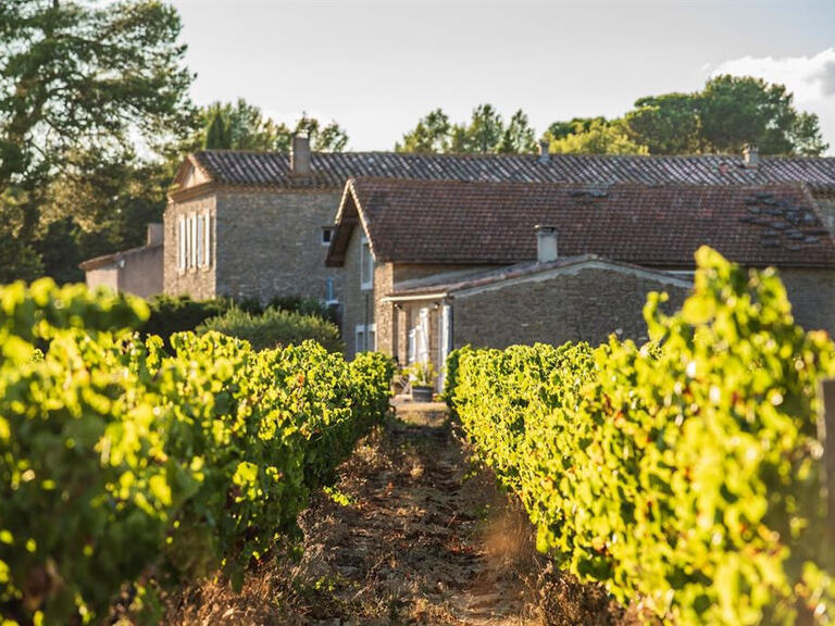 Vente Propriété Carcassonne - 14 chambres