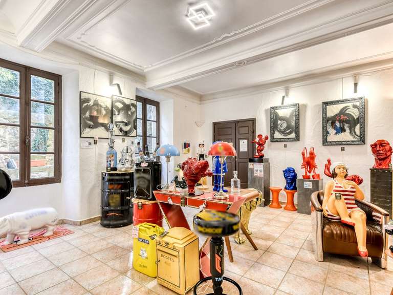 Propriété Carcassonne - 5 chambres - 335m²