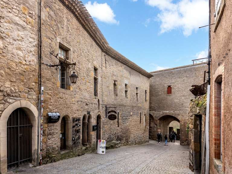 Propriété Carcassonne - 5 chambres - 335m²