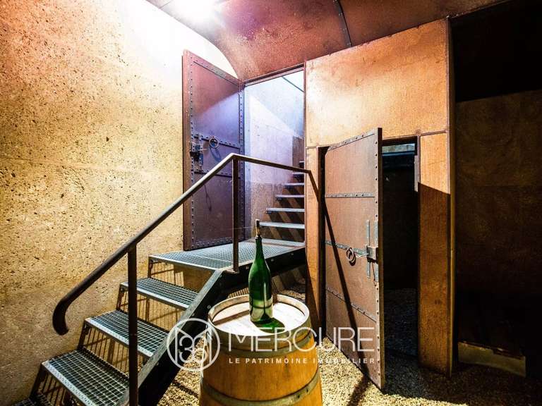 Villa Carcassonne - 6 chambres - 620m²