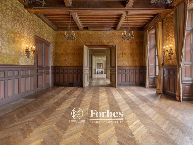 Castle Carentoir - 27 bedrooms - 2800m²