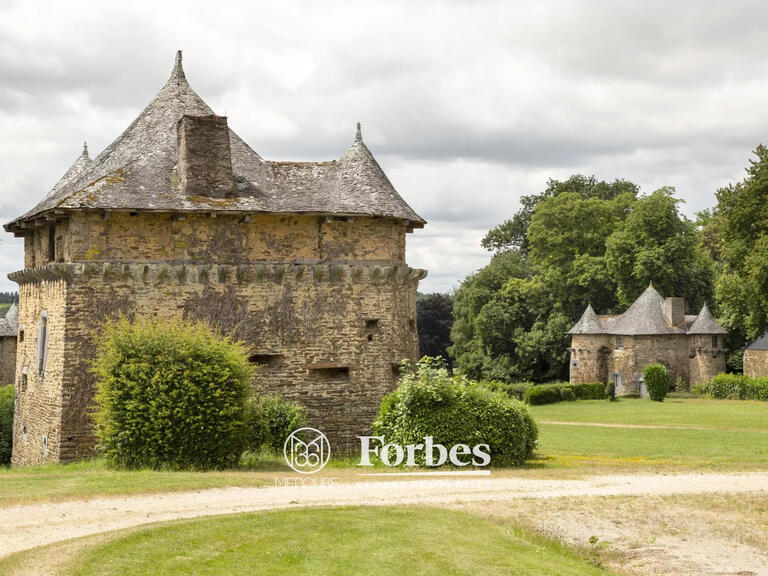 Castle Carentoir - 27 bedrooms - 2800m²